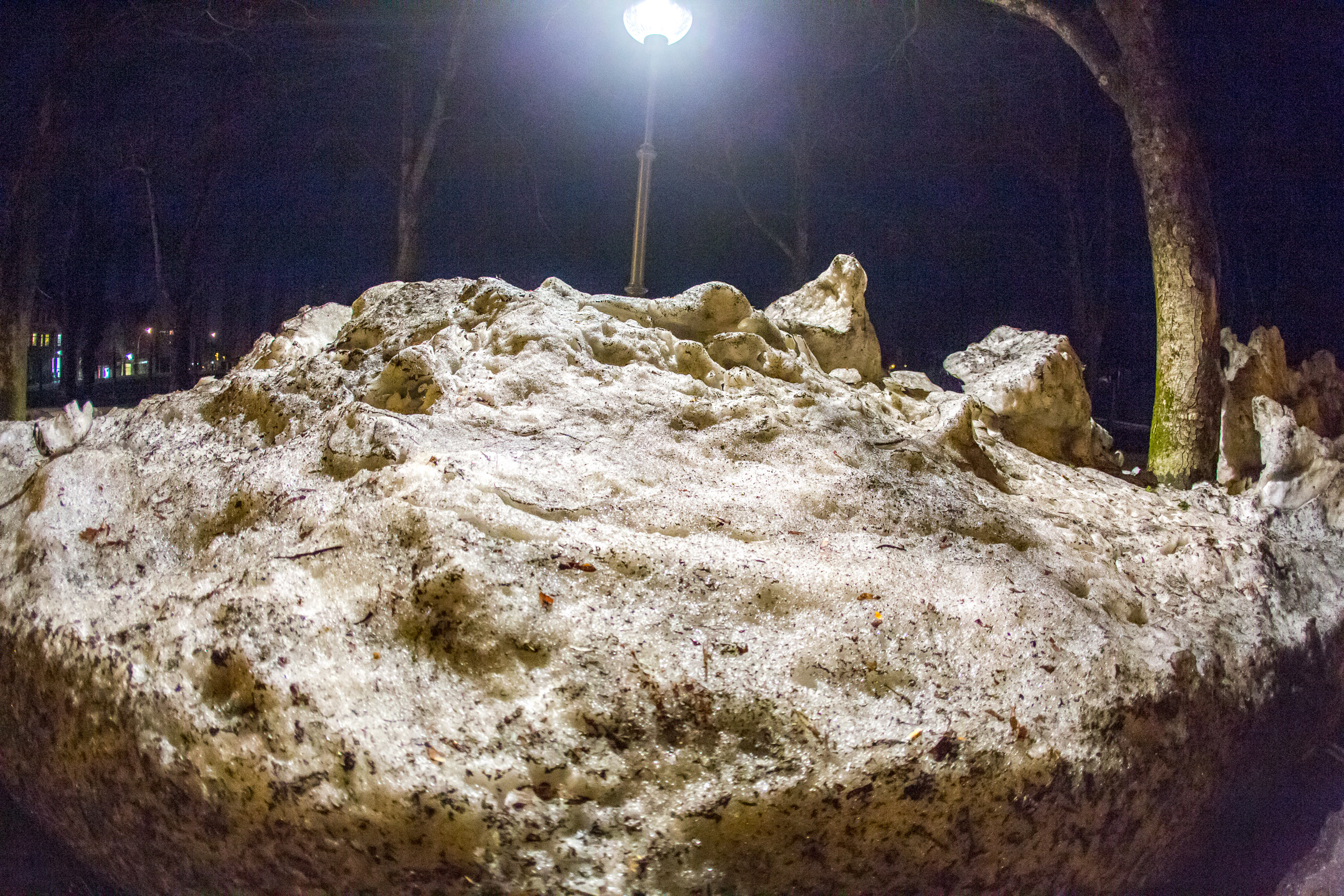 20150228215951 RD 85542